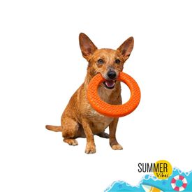 Summer Vibes Cooling Circle Orange Mordedor para c&atilde;es